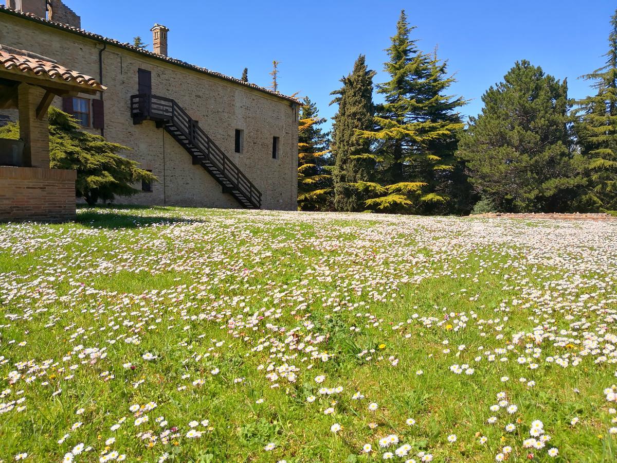 Convento Di San Francesco Mondaino Bed & Breakfast Eksteriør bilde